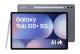 Samsung SM-X826BZAPEUB X826B Galaxy Tab S10+ 31,5 cm ( 12,4 Zoll ) 5G 512 GB (Grau)