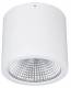 Lts Licht und Leuchten 652457 LTS LTS BTNM 202.40.55 WHITE Surface-mounted Downl Button Mini 200 LED 24W 840 2500LM 55°