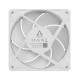 Arctic ACFAN00338A