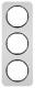 Berker 10132184 frame 3x R.1, aluminum / black