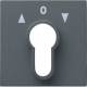 Gira 066428 cover anthracite 0664 28 for key switch System55