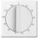 Busch Jaeger 2CKA001753A0301 BJ 1771-84-103 Central disc studio white solo for blinds/timers