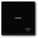 Busch Jaeger 2CKA001751A2931 BJ 1789LI-81 Cover for button with light symbol future linear anthracite