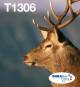 Epson C13T13064510 1LB Multipack 3-Farben T1306 DURABrite Ultra Ink EasyMail