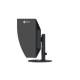 Eizo CG3100X