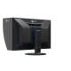 Eizo CG3100X
