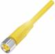 Balluff BCC S313-0000-10-001-VX43T2-050 Steckverbinder mit Kabel BCC0AH3
