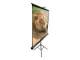 Elite Screens T84UWV1