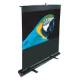 Elite Screens F84NWH