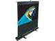 Elite Screens F84NWH