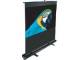 Elite Screens F84NWH