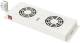 Digitus DN-19 FAN-2-HO Fan Tray - 2 Fan - 482.60 mm Rack Width