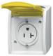 Busch Jaeger 2CKA002124A0024 BJ 3016EWN-53 Busch-Nema-Steckdose 20A ocean IP44 grau/blaugrün