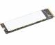 LENOVO TP 1TB SSD PERFORM.PCIE G4