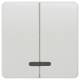 Siemens 5TG7818 Wippe 2-fach mit Fenster DELTA profil titanweiß