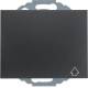 Berker 47477106 socket outlet SCHUKO+flip socket and raised BS K.1 anthracite matte