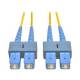 Eaton Power Quality 1M SMF FIBER OPTIC CABLE SC/SC