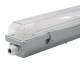 Muellerlicht ETT-1452096