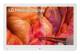 LG 27HS714S-W 68,6 cm ( 27 Zoll ) Surgical Monitor