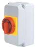 Elektra Tailfingen 34990190 D4 33/HS-B15/6-D-MRG Haupt-Not-Aus 80A 3p rot/gelb Hiko S/Ö M. 