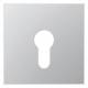 Jung AL2925 Cover for key switch, AL 2925