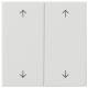 GIRA 538703 rocker 2f arrows system 55 pure white