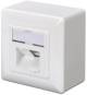 Digitus DN-9002-N Mounting Box - Wall Mount - 2 x RJ-45 Port(s)