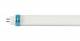 Synergy 21 S21-LED-BS00088