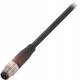 Balluff BCC M313-0000-20-001-PX0334-020 Steckverbinder BCC02M2