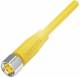 Balluff BCC S314-0000-10-003-VX44T2-050 Steckverbinder mit Kabel BCC0AH8