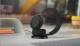 Jabra 37599-989-989