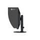 Eizo CG2400SV