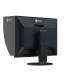 Eizo CG2400SV