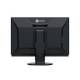 Eizo CG2400SV