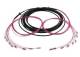 Synergy 21 S217070V2 LWL-Kabel, Trunkkabel U-DQ(ZN)BH 8G 50/125, LC/LC OM4 10m, Ring, Synergy21