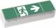 Ceag SV EURO 4 LED 3h ISO 7010 LED Einzelbatterieleuchte mit Prüftaster