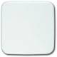 Busch Jaeger 2CKA001582A0354 Busch-Jaeger Blank plate, 1576C-214 alpine white