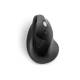 Kensington K75501EU