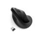 Kensington K75501EU Pro Fit Ergo Maus vertikal, kabellos, schwarz