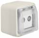 Berker 12033512 antennas 2-hole single socket Ap W.1 polar white