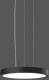 RZB 312422.0031.2.730, 38W, 2900lm, 827-865, anthrazit, Pendelleuchten