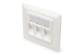 DIGITUS DN-93821 frame + plate 80x80 mm for 3 Keystone modules white