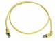 Telegärtner 100008018 L00000A0199 patch cable S / FTP Cat.6a, (ISO / IEC) 0.5m MP8 FS500 LSZH 1x90G