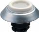 Schmersal NDLWS/501D illuminated button white/white 101189675