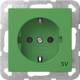 GIRA 4188107 SCHUKO SV System 55 Grün