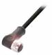 Balluff BCC M42C-0000-1A-049-PX0C25-150 Steckverbinder mit Kabel BCC0HLM