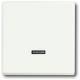 Busch Jaeger 2CKA006599A2963 BuschJaeger control element 6543-884-101, neon lamp with dimmer