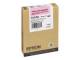 Epson C13T605600