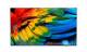 TP VISION 58HFL6214U/12 58HFL6214U 22CM 58IN