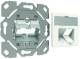 CobiNet 127137 unpopulated carrier plate pack of 10 RJ45-TL rapid 45° with central plate